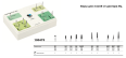 Боры алмазные для пломб (набор 10шт) D+Z  / 100473